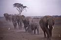 WT 1400 210-11 Kenya
